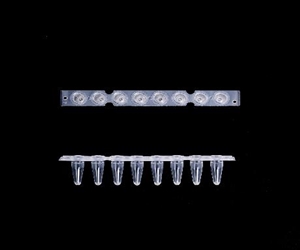 0.2ml八聯(lián)排PCR管，光學(xué)平蓋，透明，科進(jìn)/KIRGEN