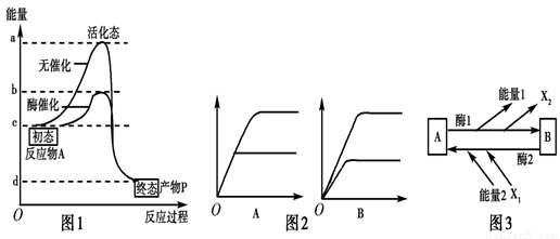各種規(guī)格干細胞相關因子
