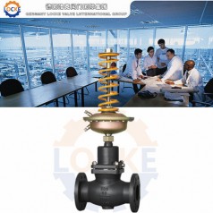 進口自力式壓差調節(jié)閥性能參數(shù),報價/價格,圖片
