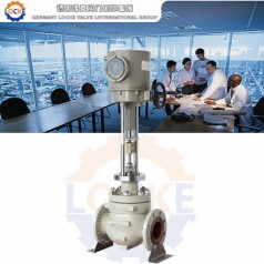 進口電動單座調節(jié)閥性能參數(shù),報價/價格,圖片