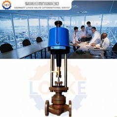 進(jìn)口電子式電動調(diào)節(jié)閥性能參數(shù),報(bào)價(jià)/價(jià)格,圖片