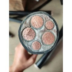NH-YJV、NH-YJV22建筑工程耐火動力電纜 天行線纜國標(biāo)品質(zhì)價格優(yōu)惠
