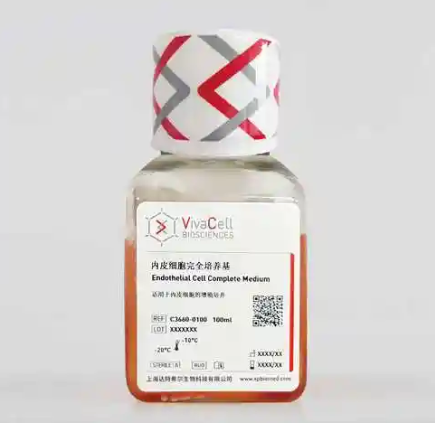內(nèi)皮細(xì)胞培養(yǎng)基的優(yōu)點與使用注意事項